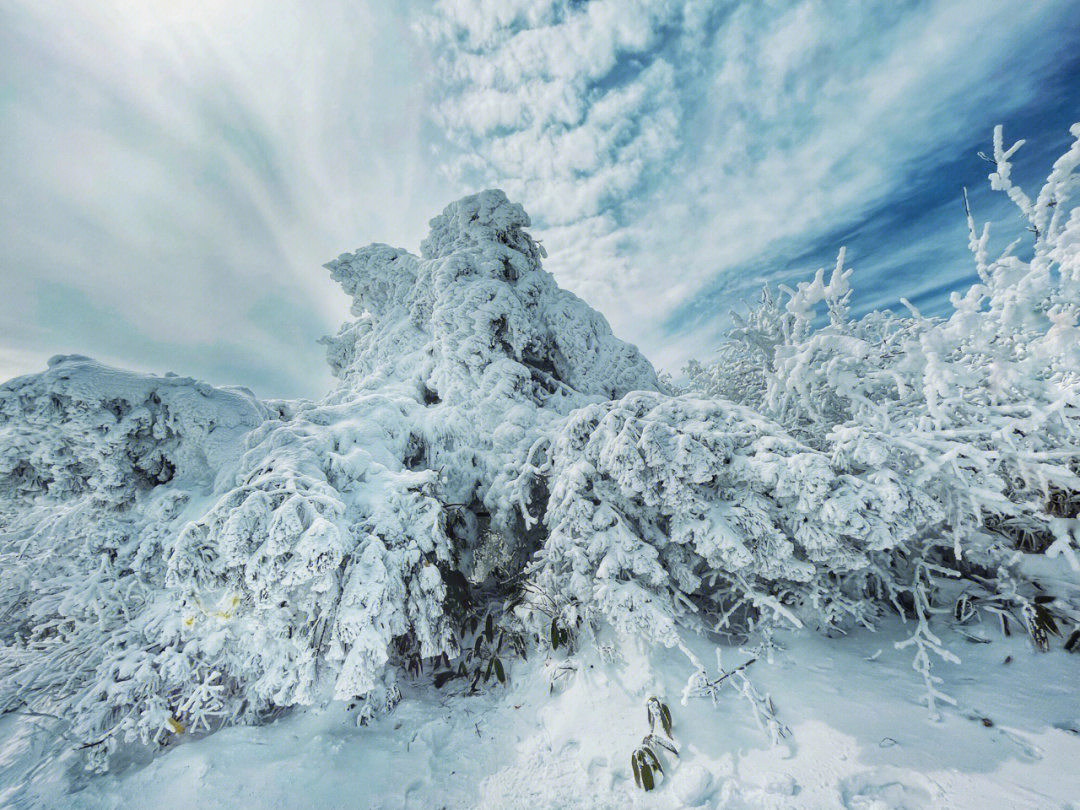 安吉龙王山雪景图片