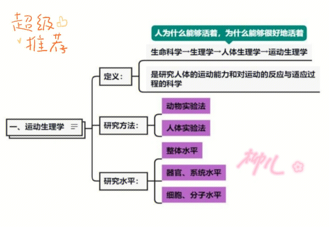 冰壶运动思维导图图片