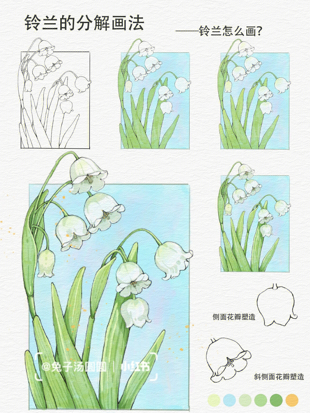 铃兰花画法图片