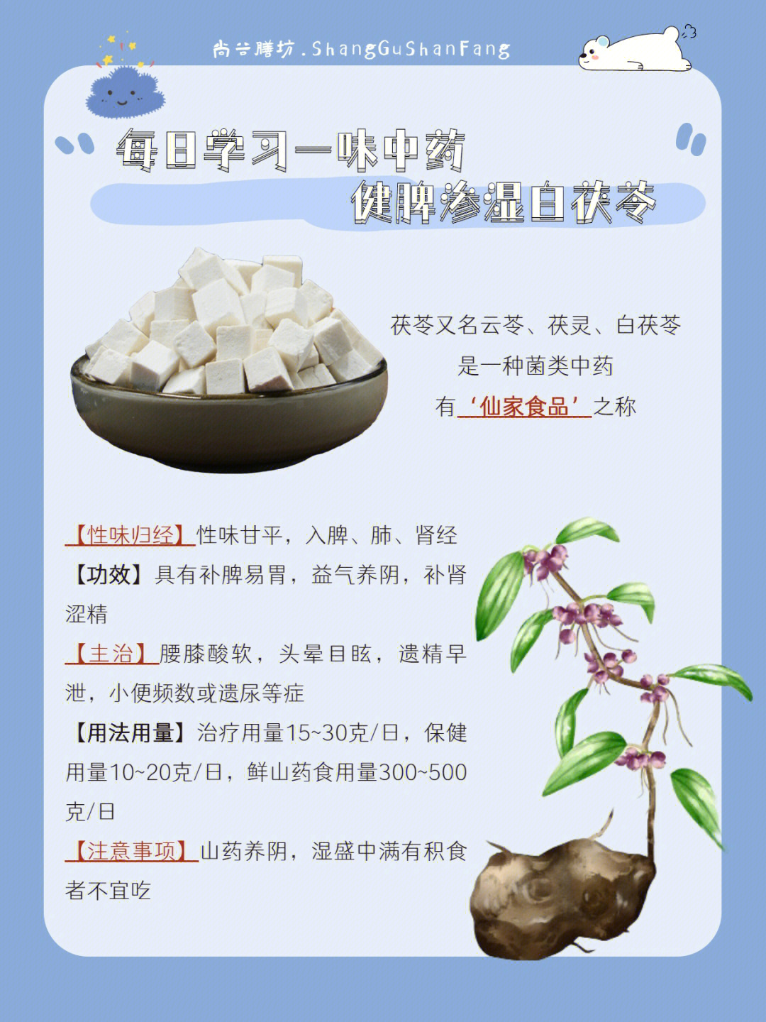 茯苓怎么吃祛湿效果好图片