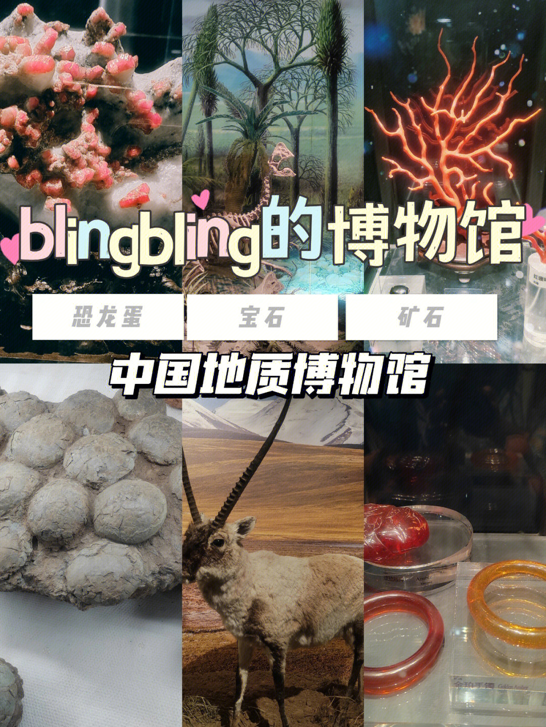 bulingbuling的小众博物馆中国地质博物馆