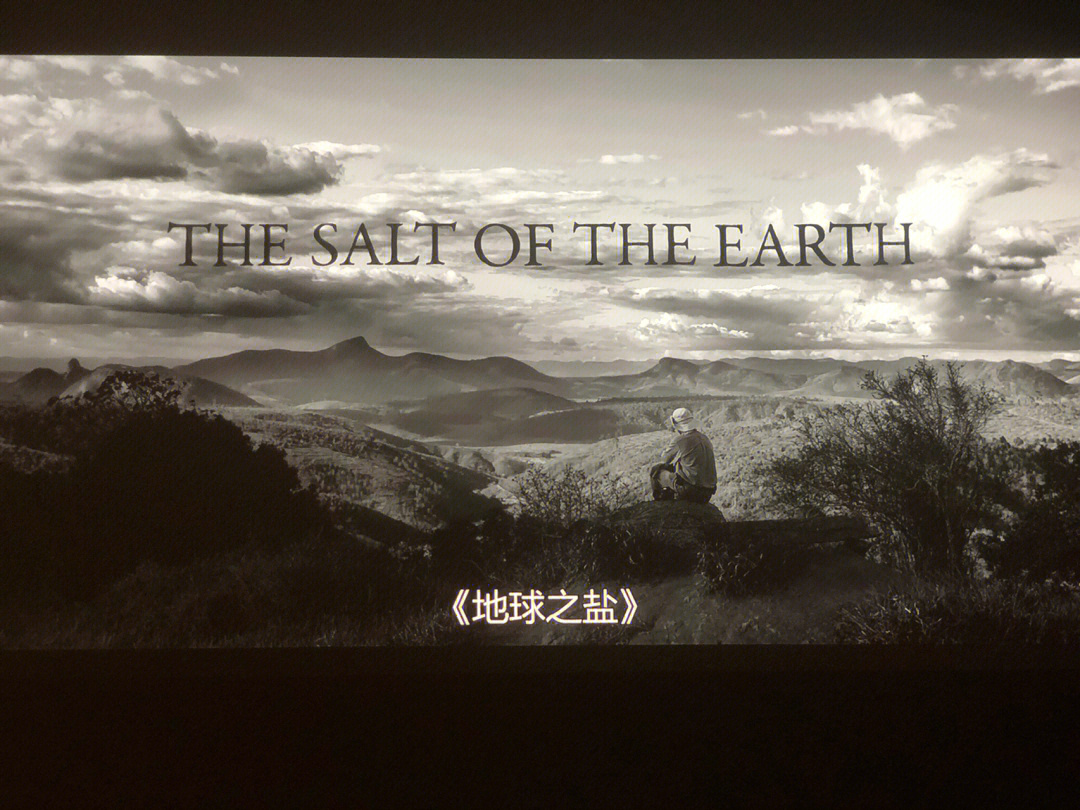 地球之盐mv图片