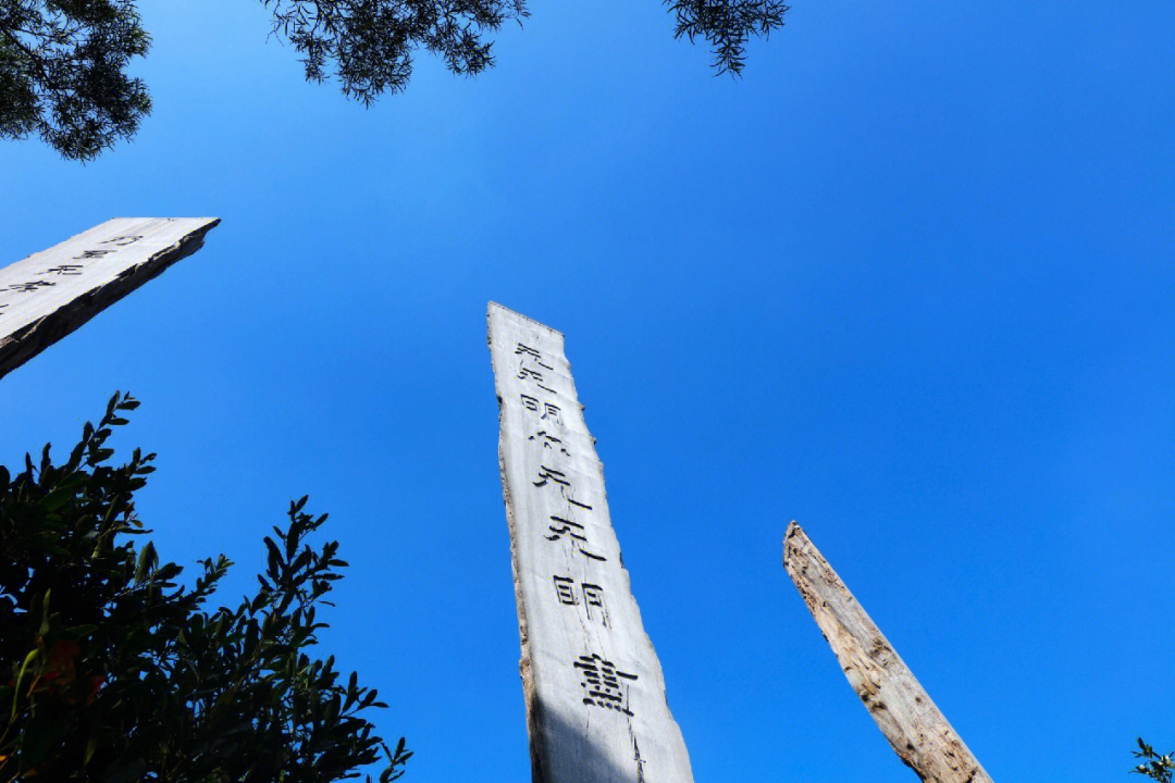 香港赌王心经图片图片