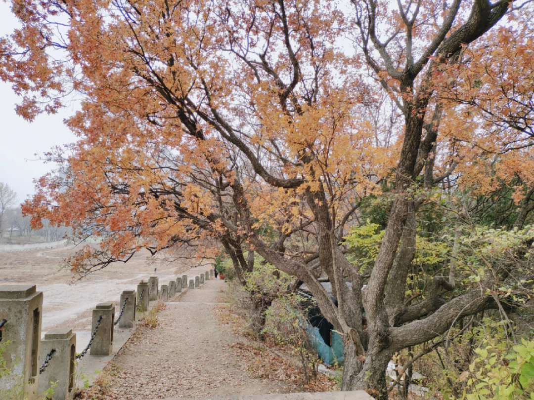 大连西山水库风水太阴图片