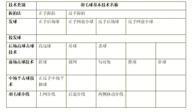 羽毛球技术总结  