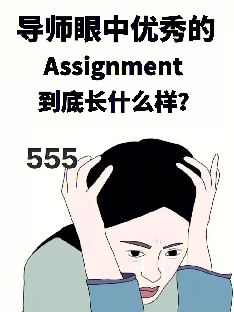 assignment什么意思图片