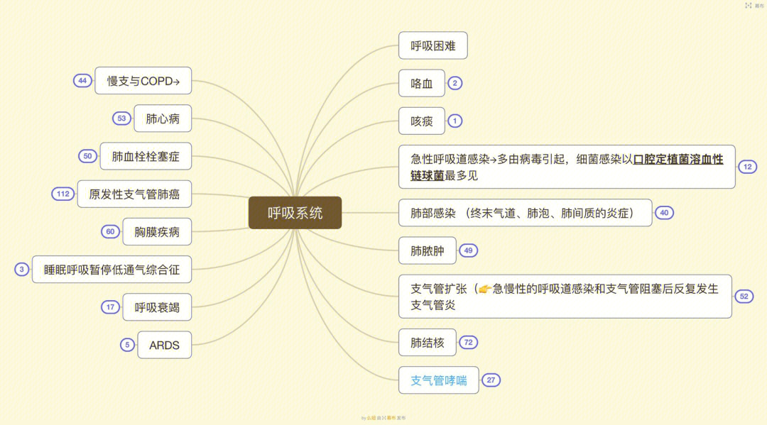 呼吸系统思维导图七下图片