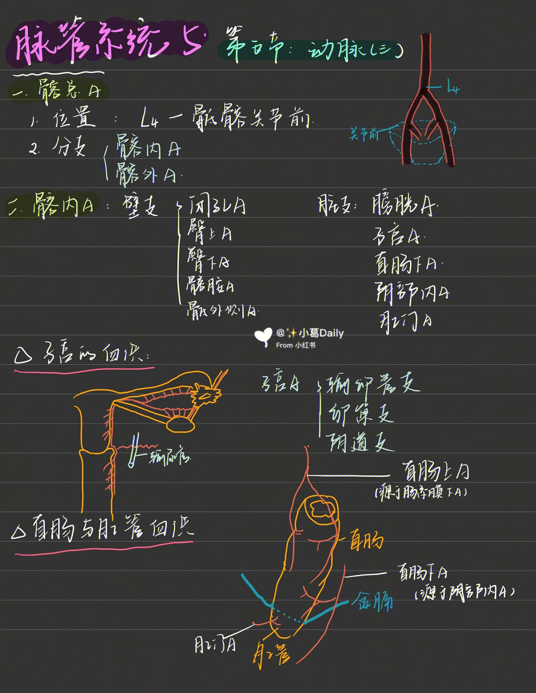 啦～有问题欢迎指正99全身重要的摸脉点和止血点