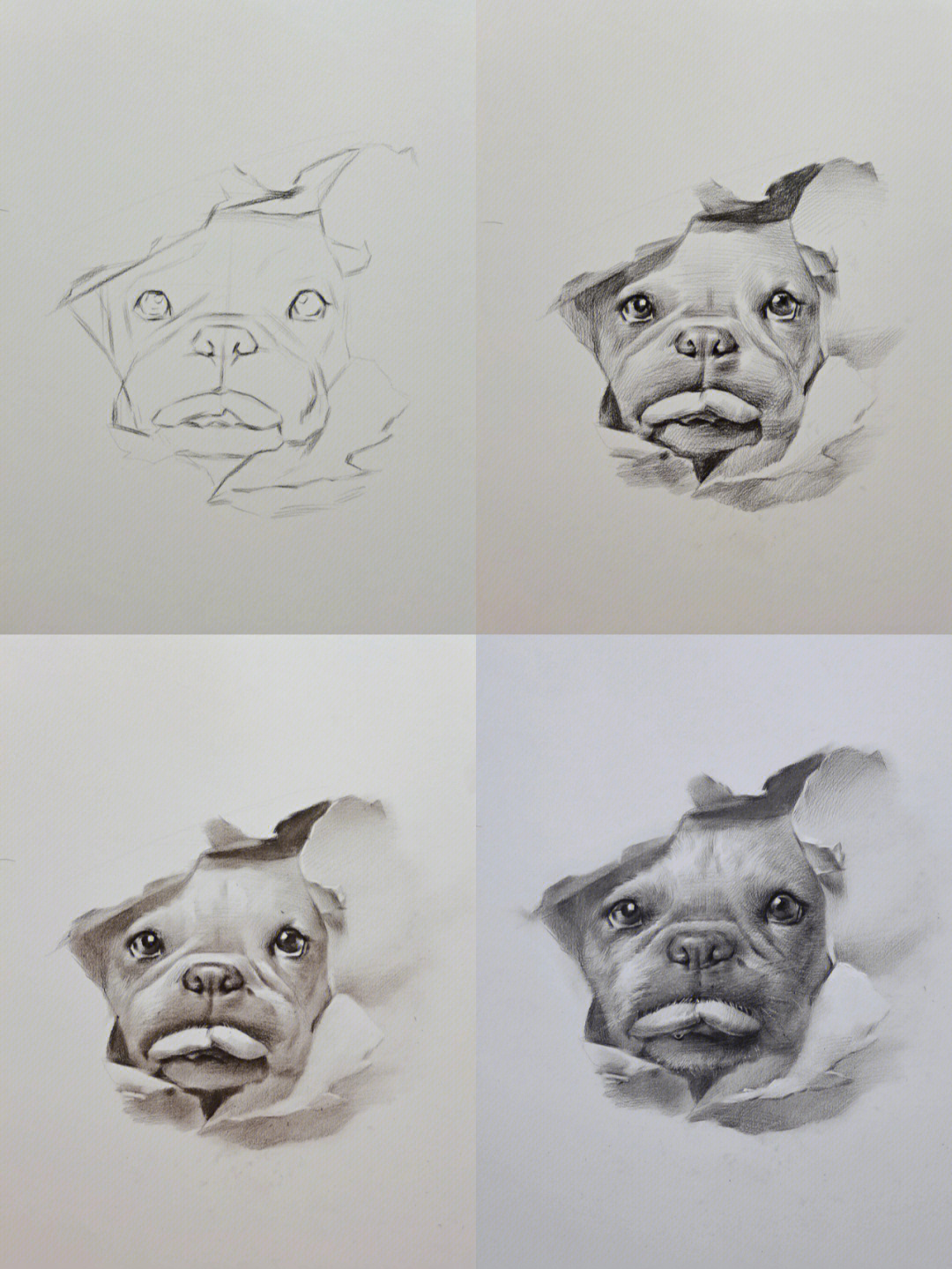 狗狗素描画简单图片