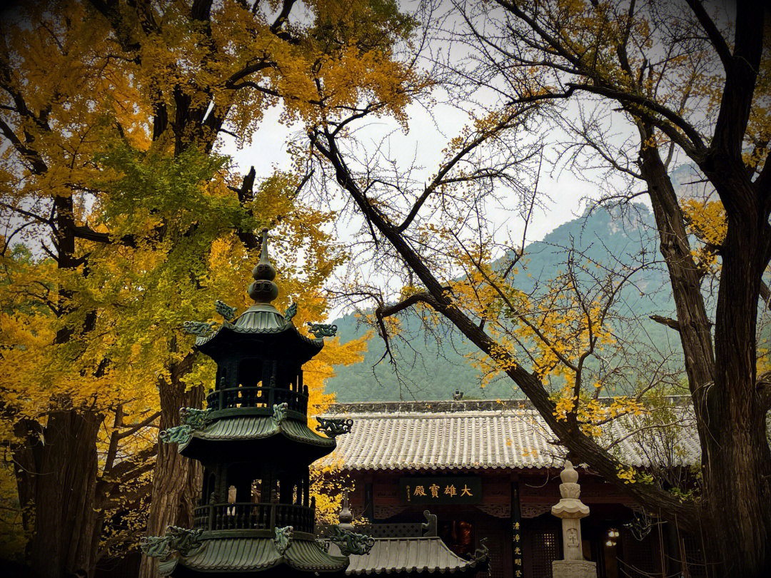 灵岩山寺加拿大图片