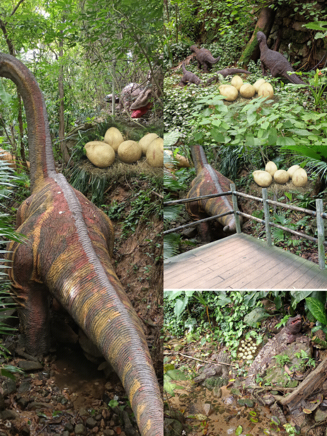 一定要带孩子来这里玩,青青世界热带雨林侏罗纪中都是各种恐龙,而且