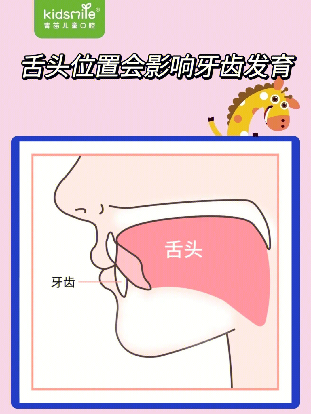 舌头怎么放在正确位置图片