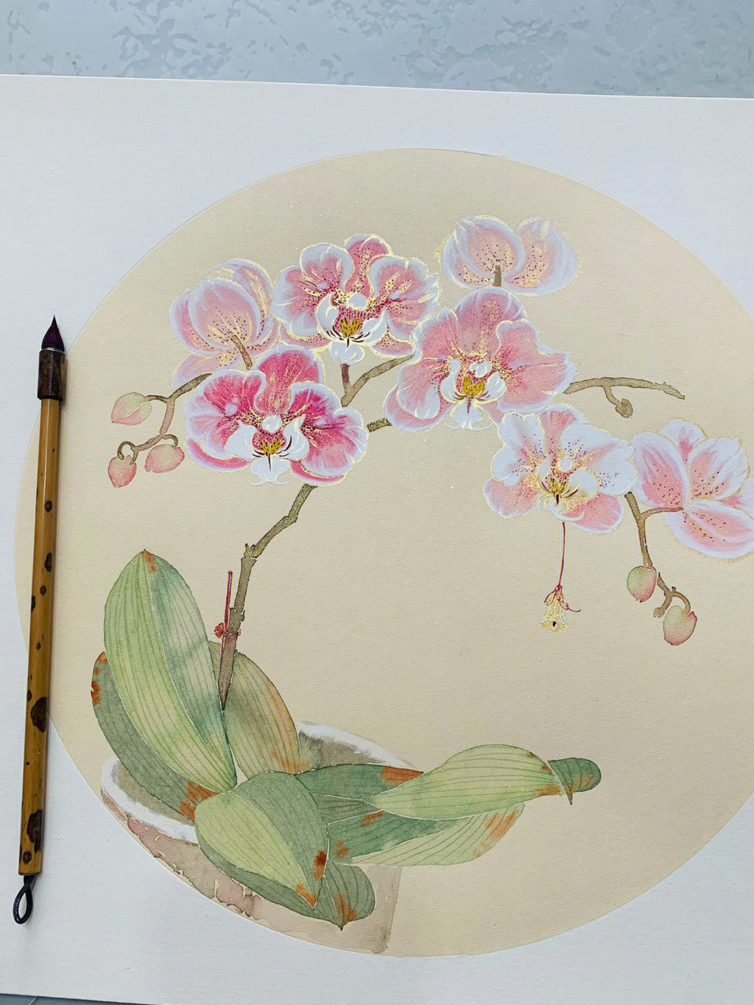 工笔蝴蝶兰的画法步骤图片