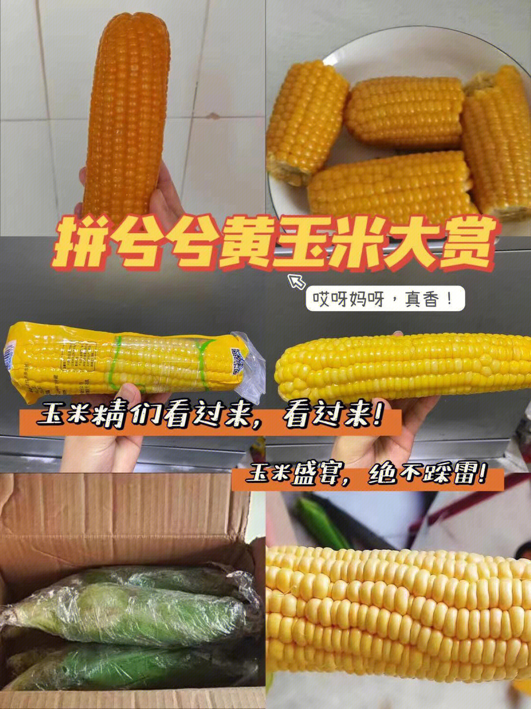 黄玉米电视剧图片