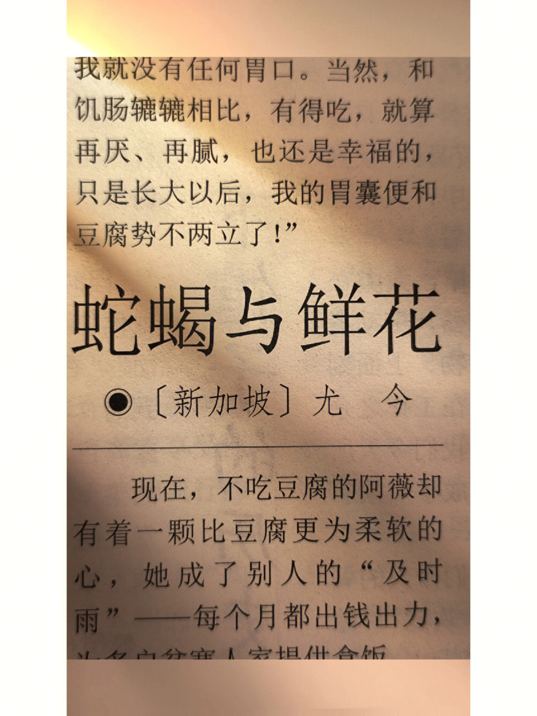 尤今简介图片