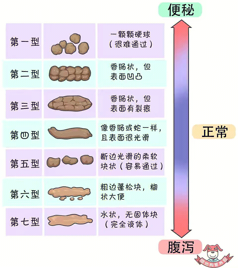 巴西龟正常粪便图片