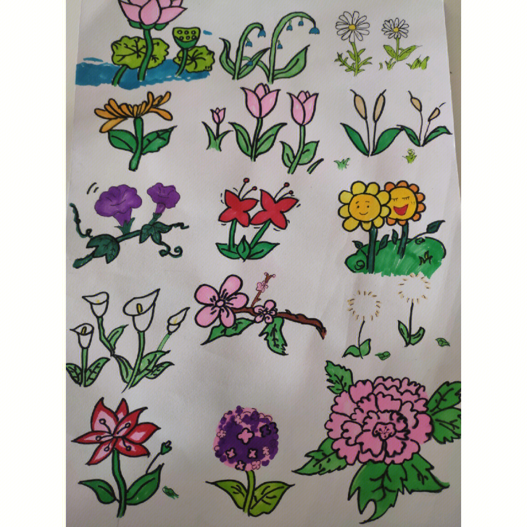 植物简笔画