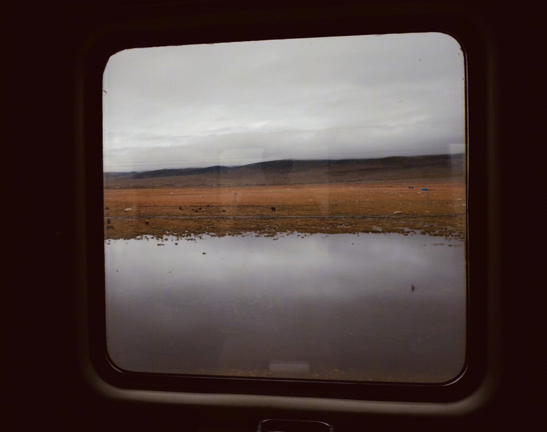 好学至今非常难忘从列车的窗外一路拍摄金灿灿的草原@摄影薯@生活薯