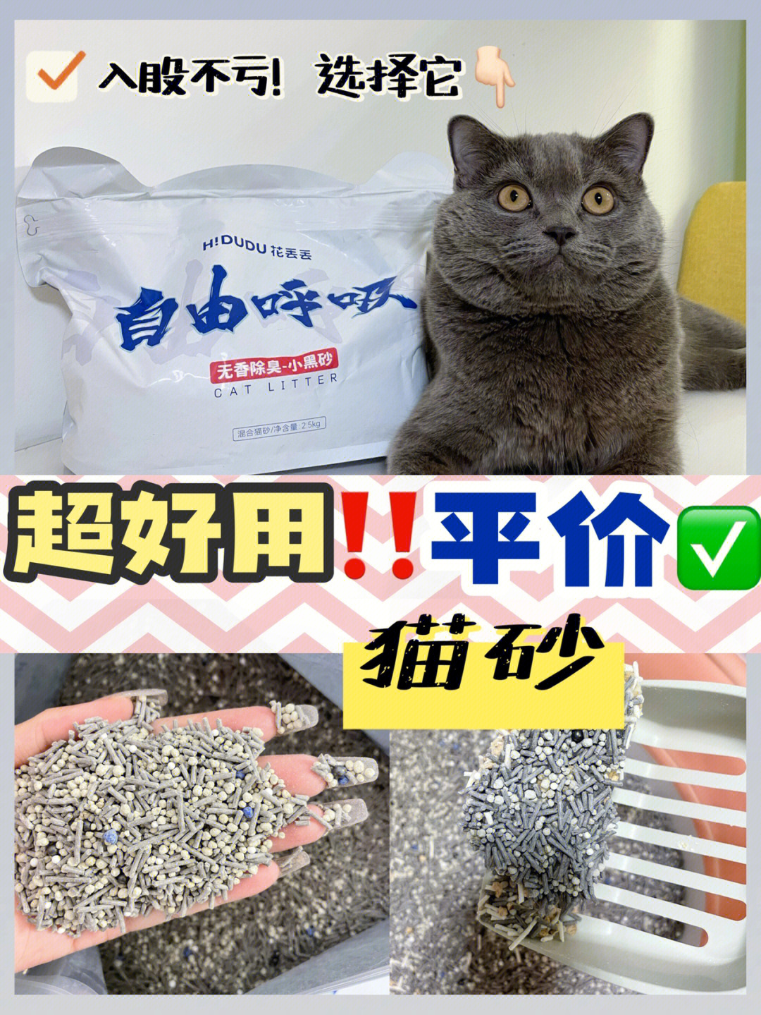 猫咪日常所需平价又好用的猫砂