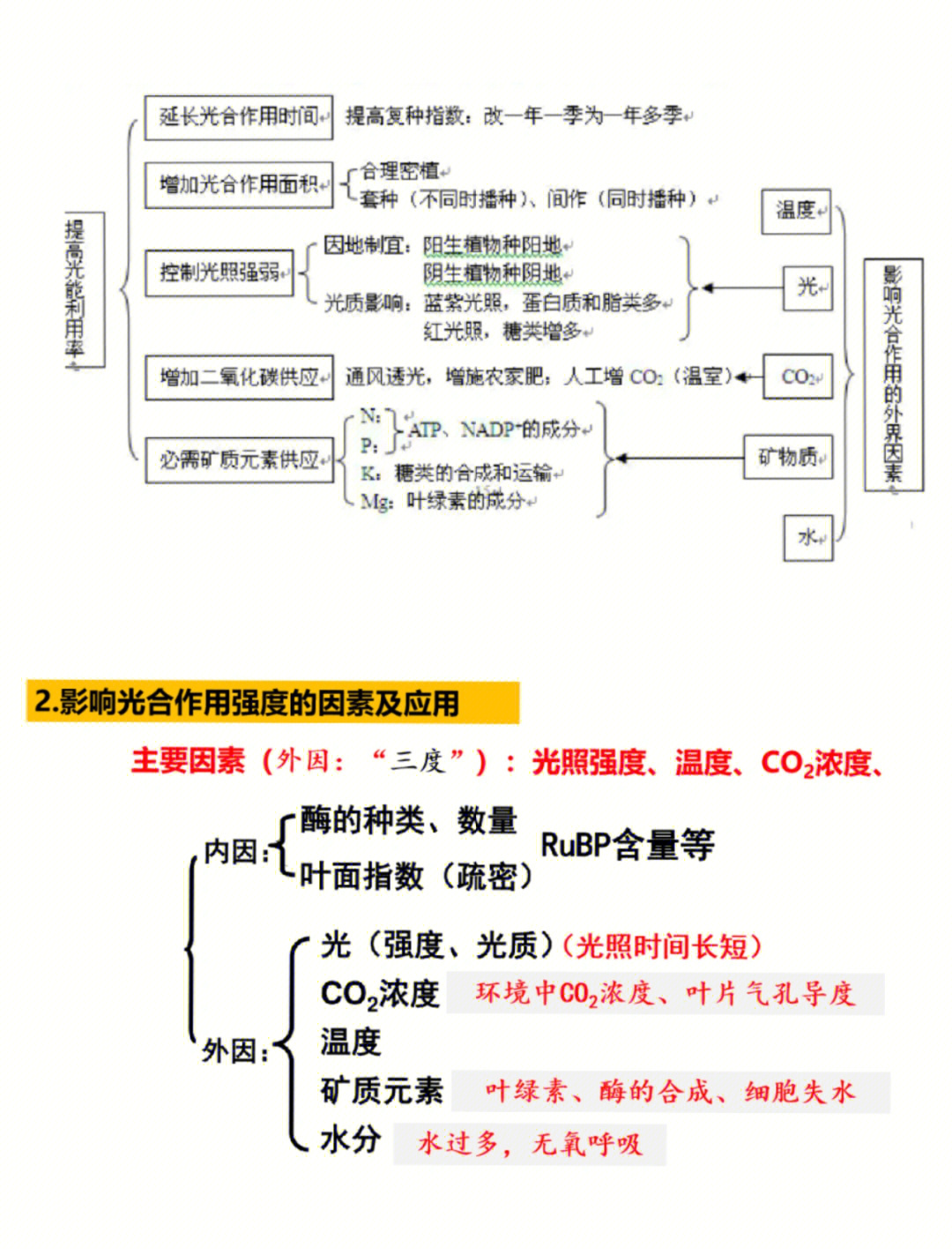 生物思维导图光合作用图片