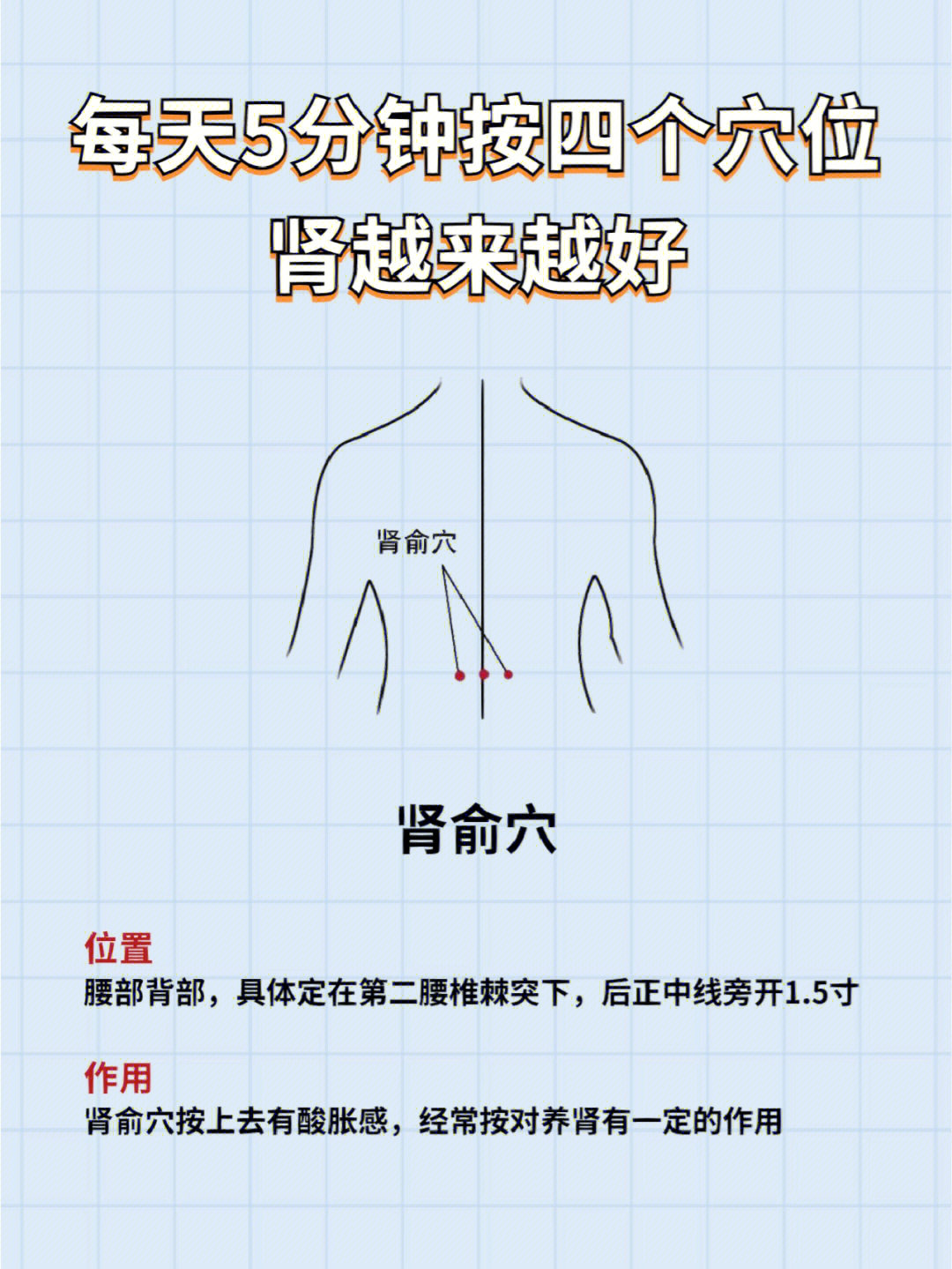 壮阳的准确位置图片图片