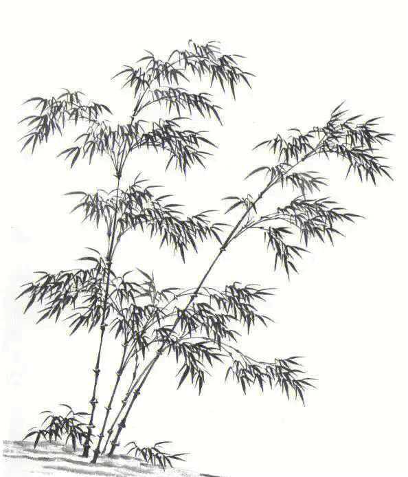 国画山水竹子的基础画法