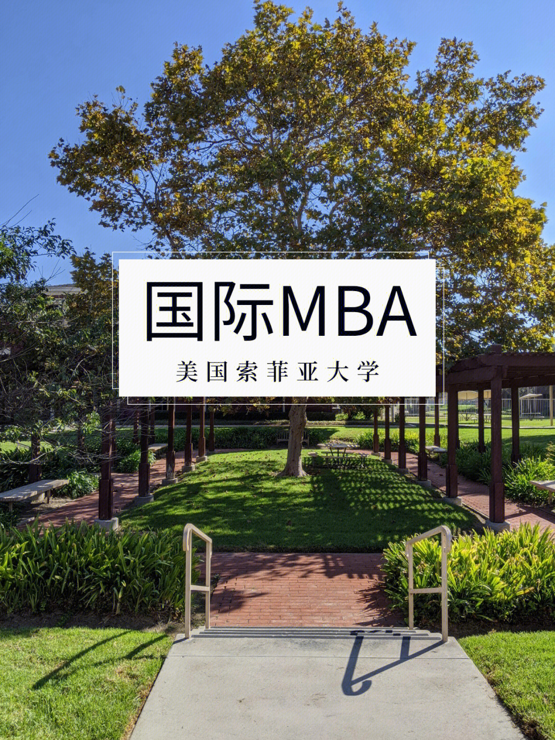 国际mba美国索菲亚大学