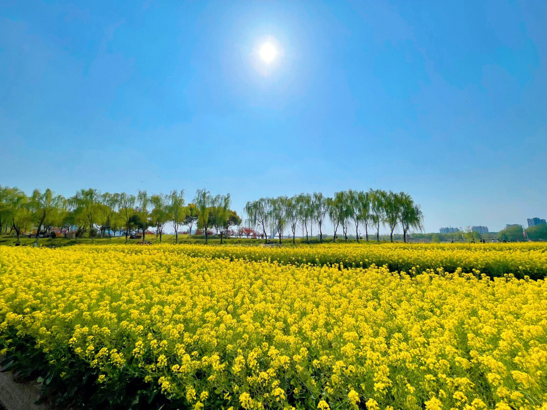 花林 连海地铁图片