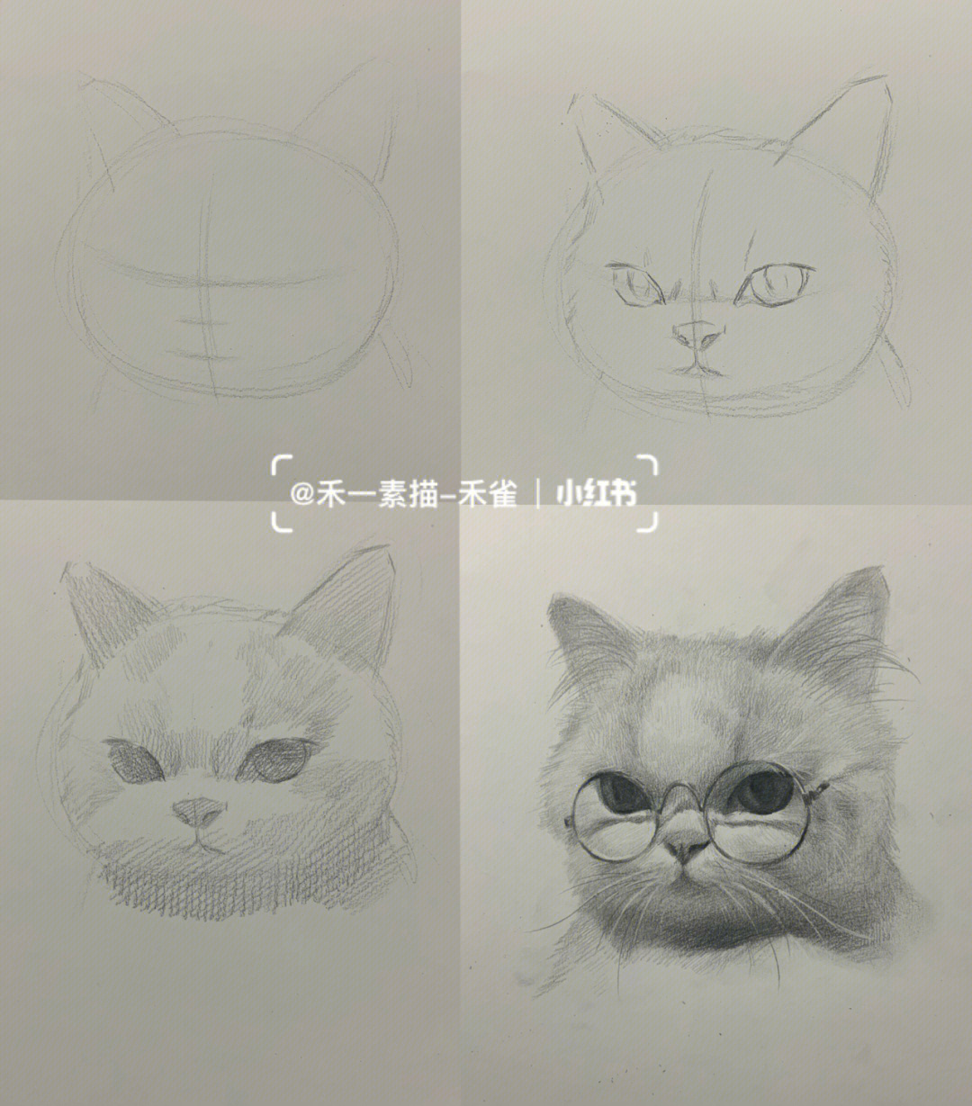 猫素描画一步一步图片