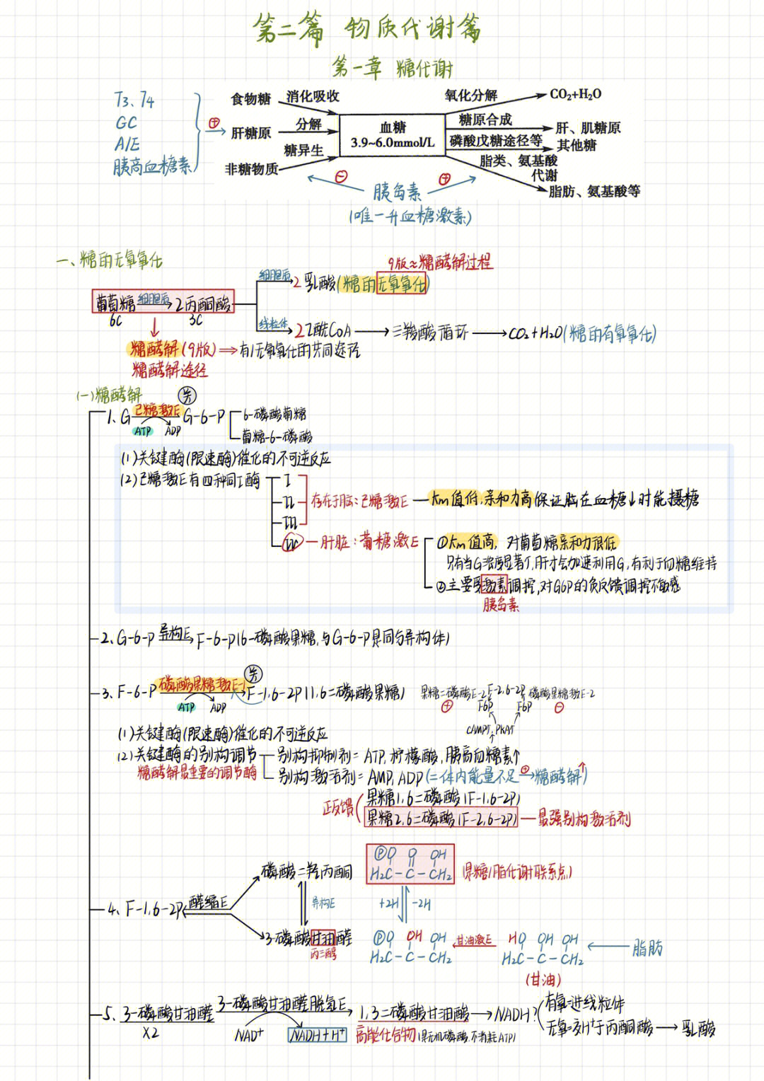 糖类知识点思维导图图片