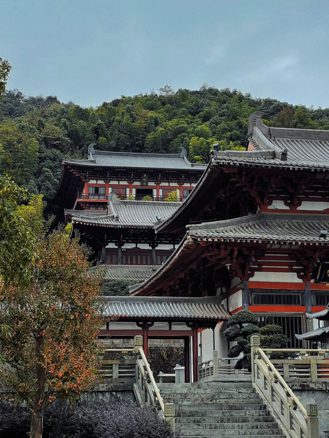 香山教寺 明星 这么多图片