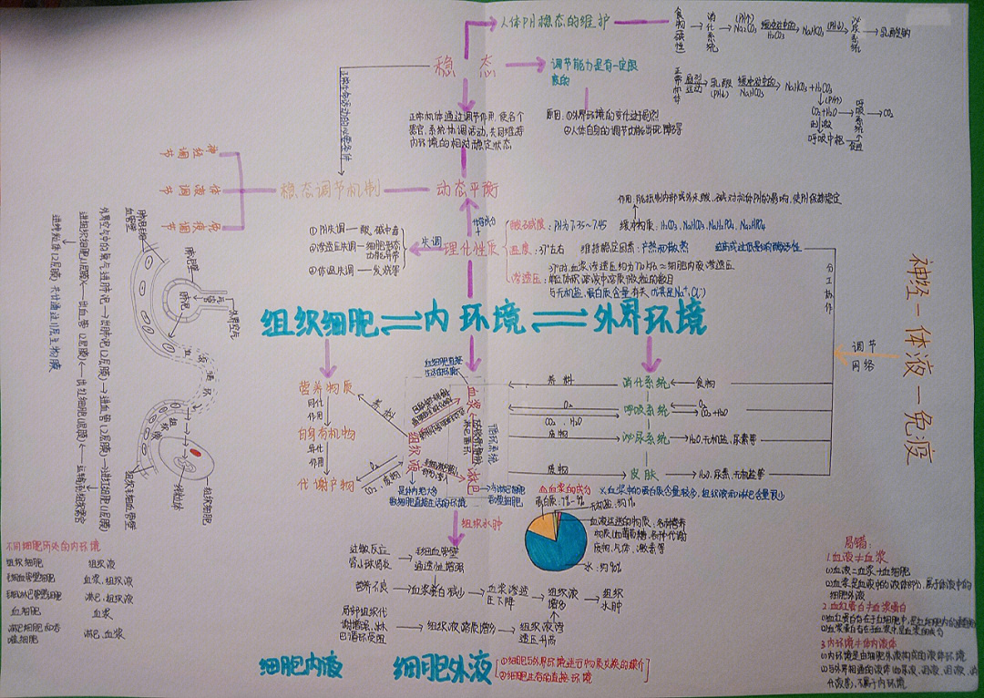 生物必修三每章概念图图片