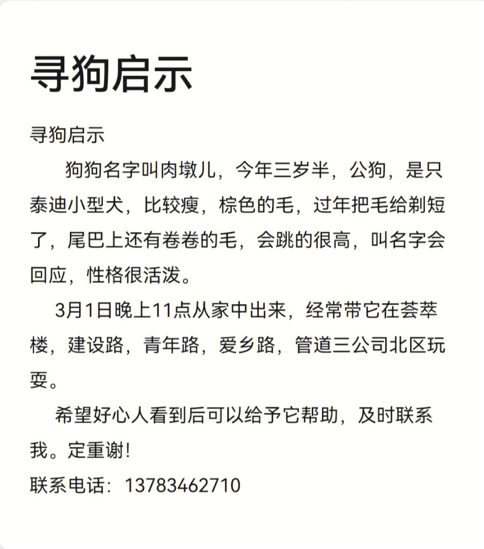 寻狗启示感人图片