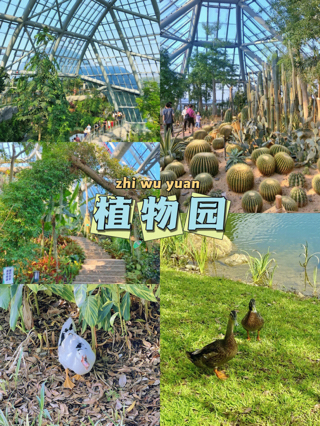 惠州植物园地图景点图片