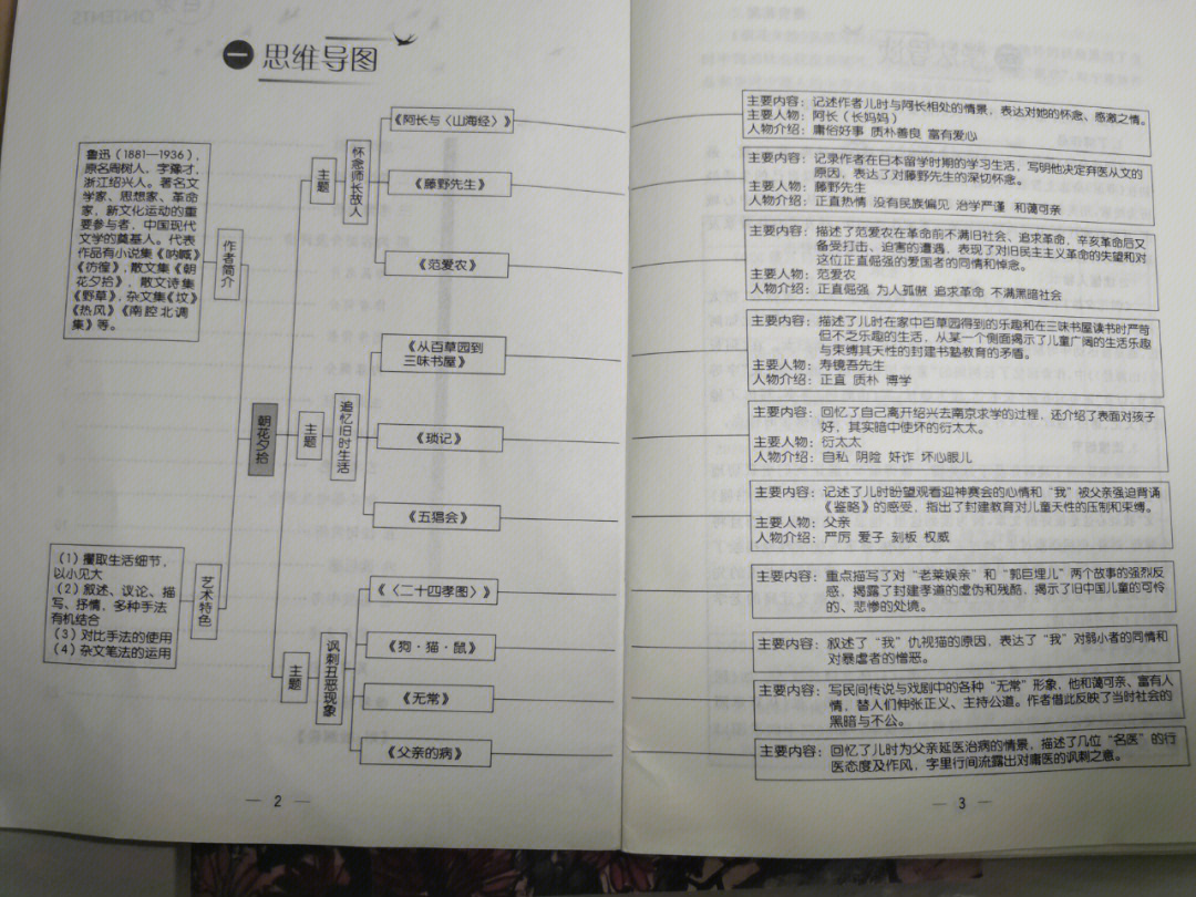 范爱农思维导图简单图片