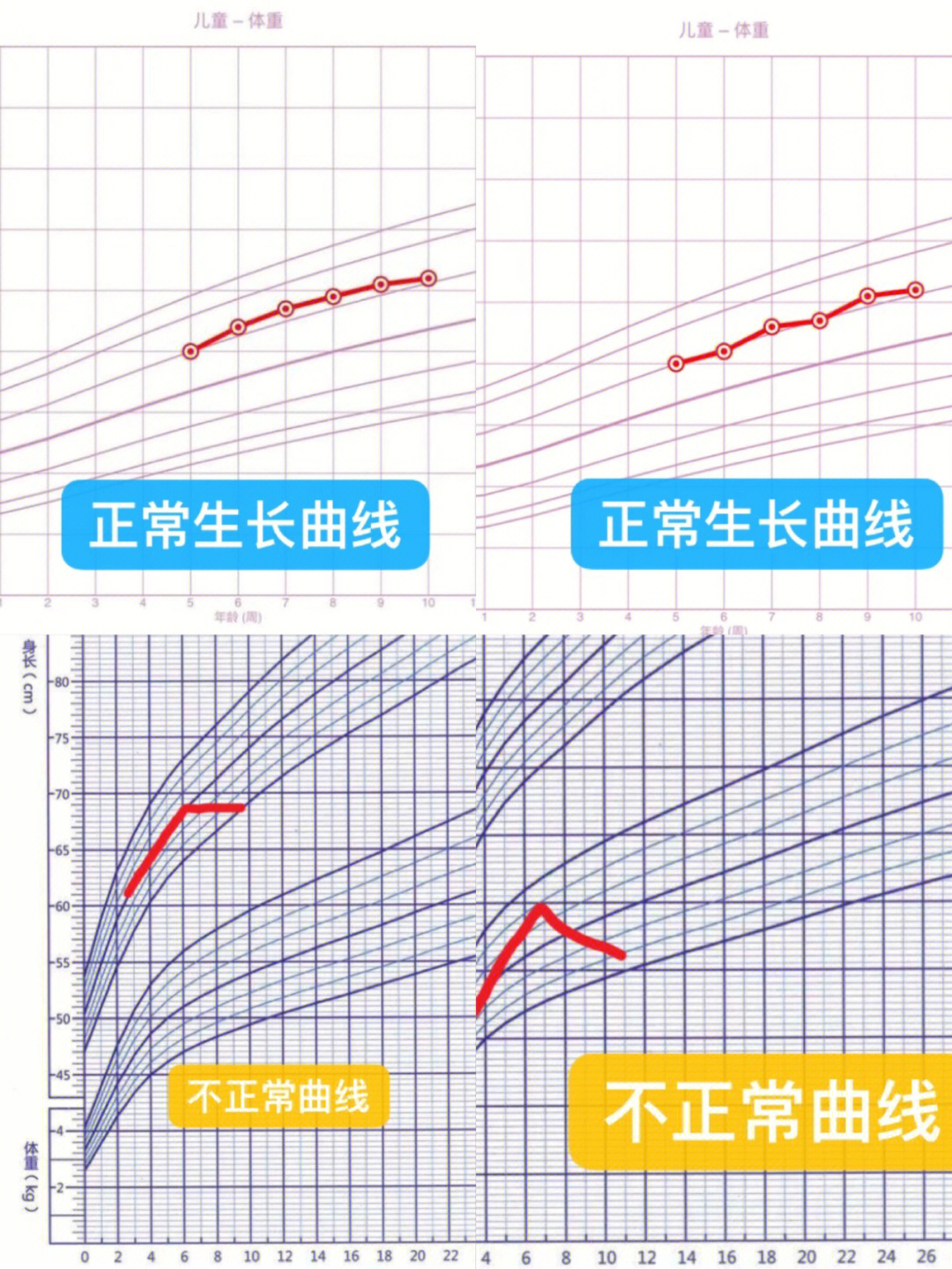 手绘生长曲线太麻烦了,直接用生长曲线app01靠谱推荐:育学园,丁香