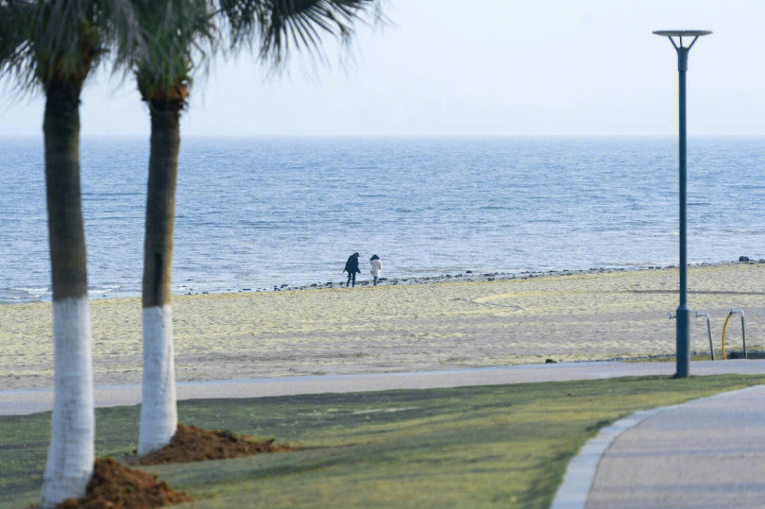 后田海滩图片