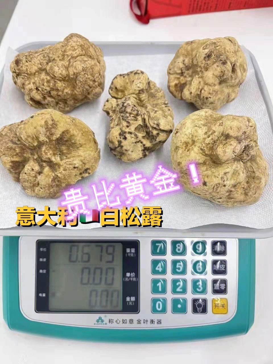 松露价格最贵图片