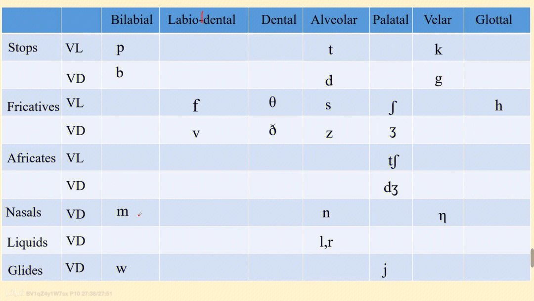 lingua palatal图片