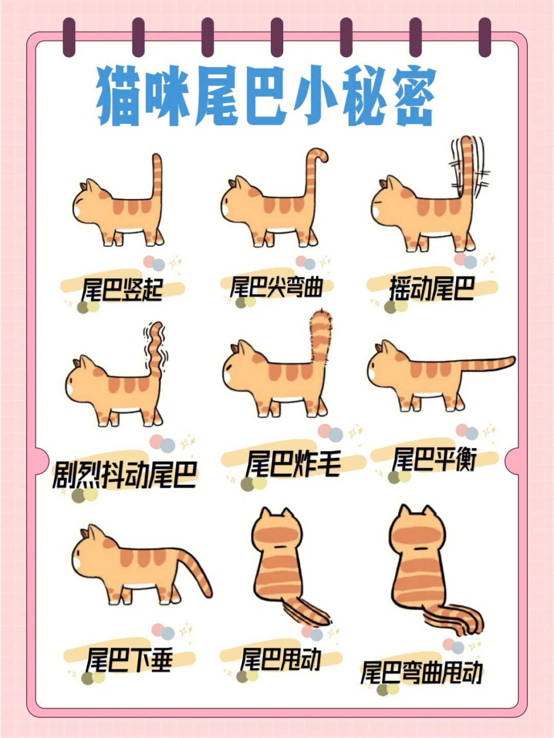 小猫尾巴的作用图片