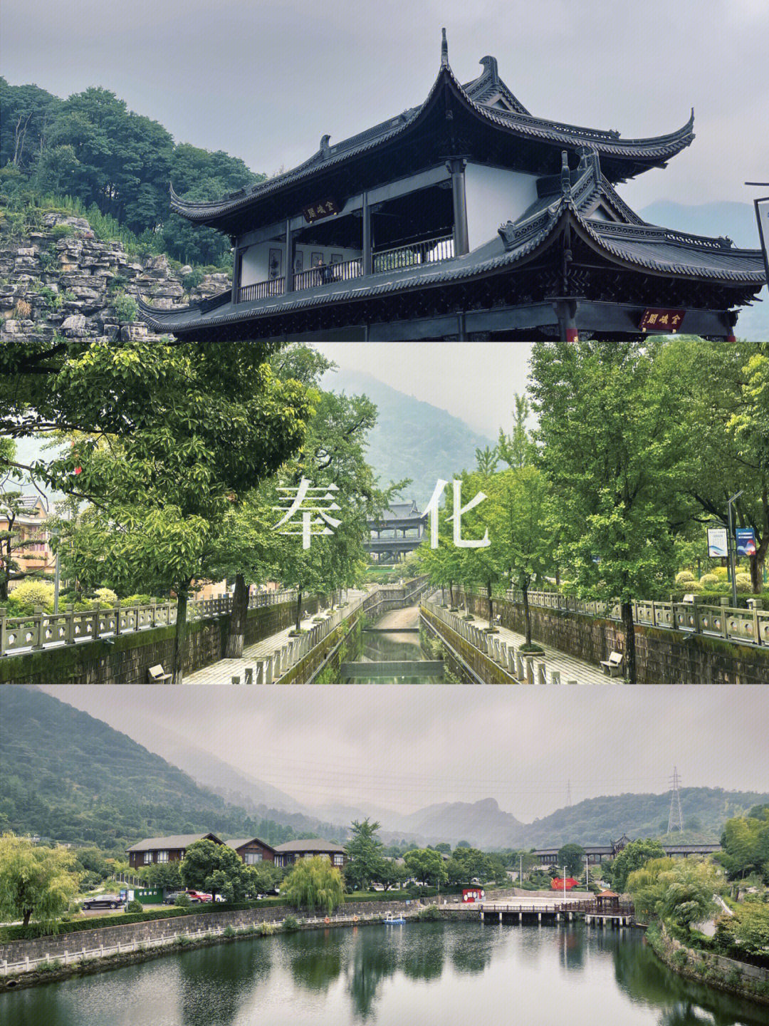 奉化金峨村旅游图片