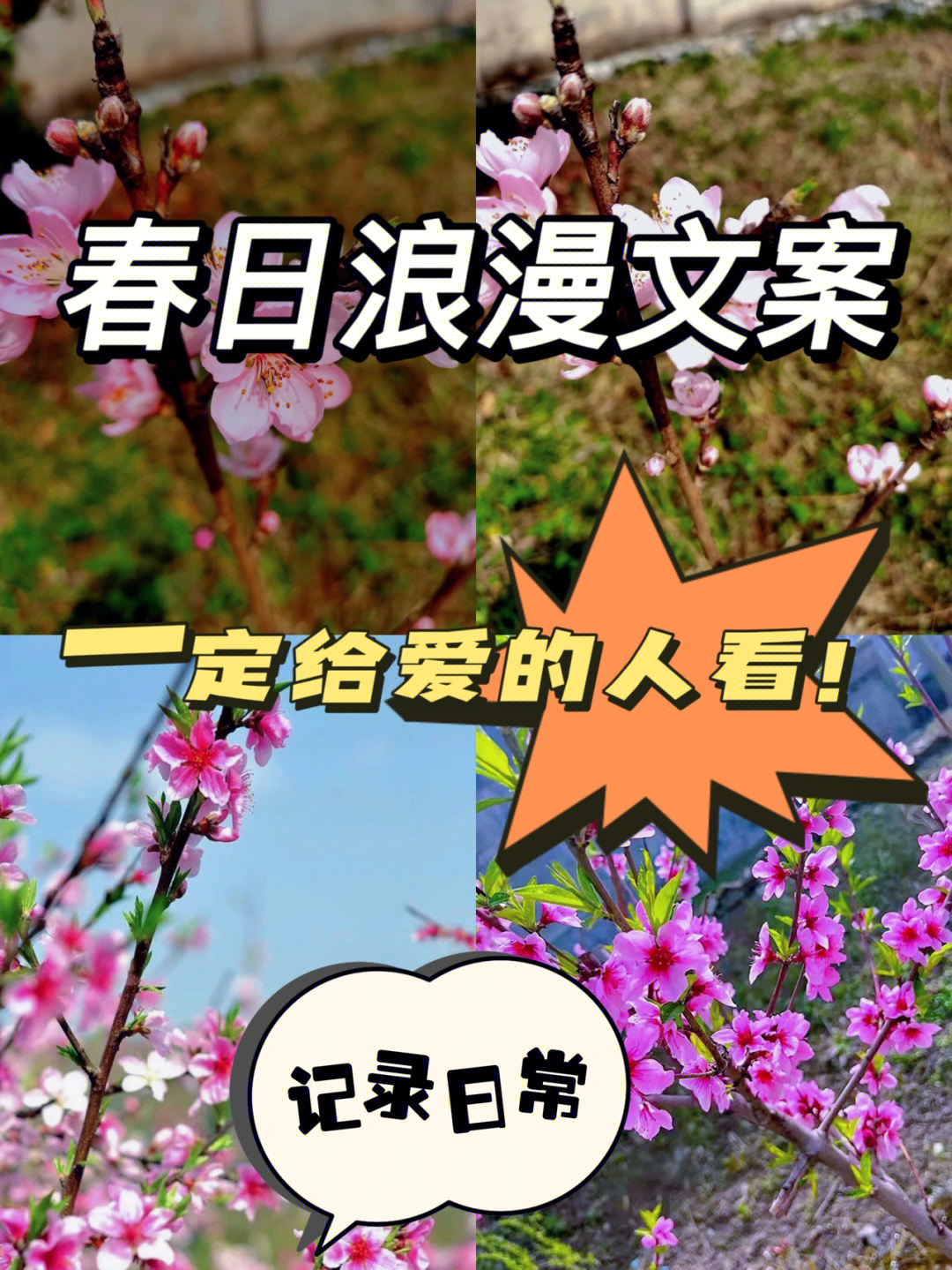 春天来了带你去赏花吧看看那些唯美文案