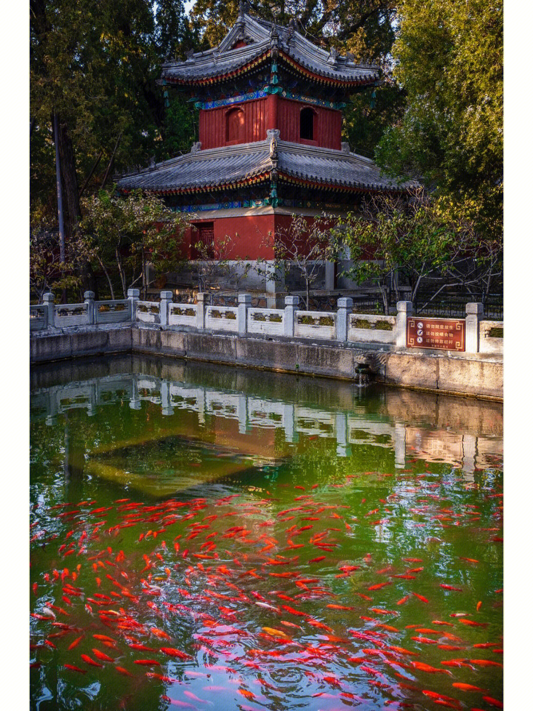 北京植物园里的千年古庙卧佛寺寺庙366番