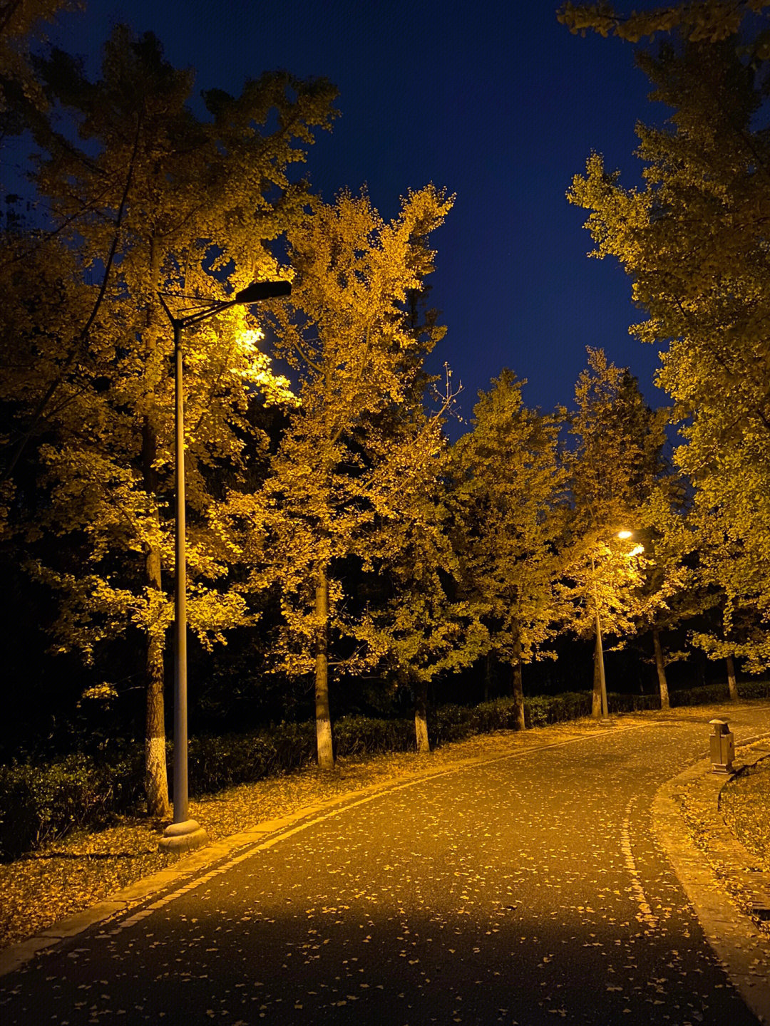 深秋夜晚图片大全图片