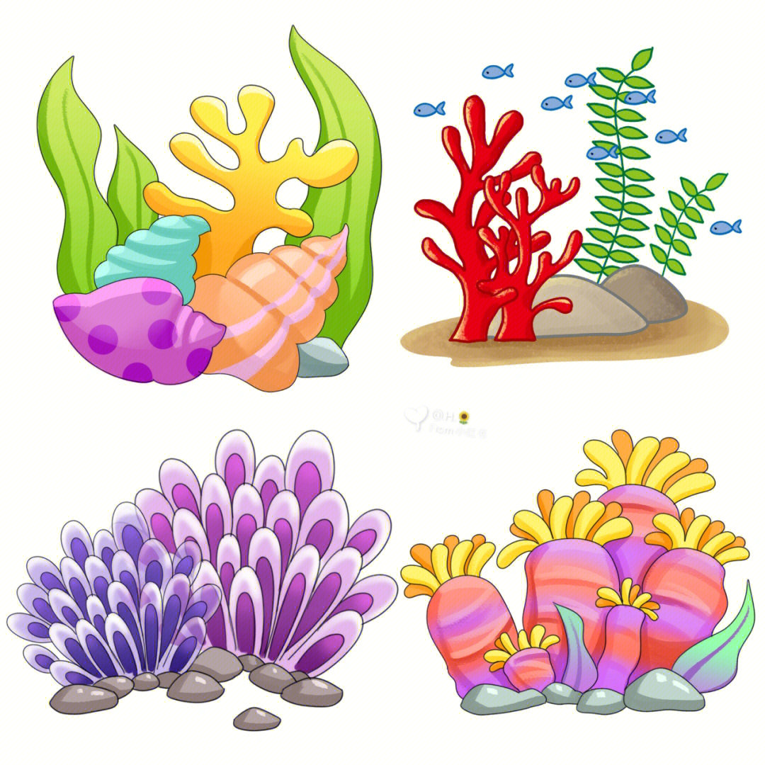 海洋植物简笔画 彩色图片