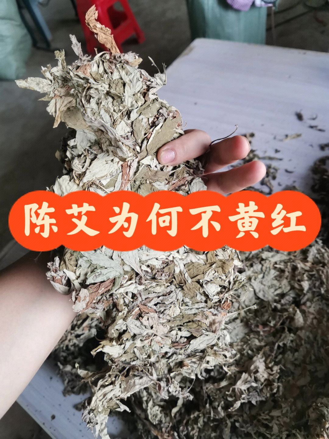 商家的艾叶为什么没有老百姓自己屯的艾黄红