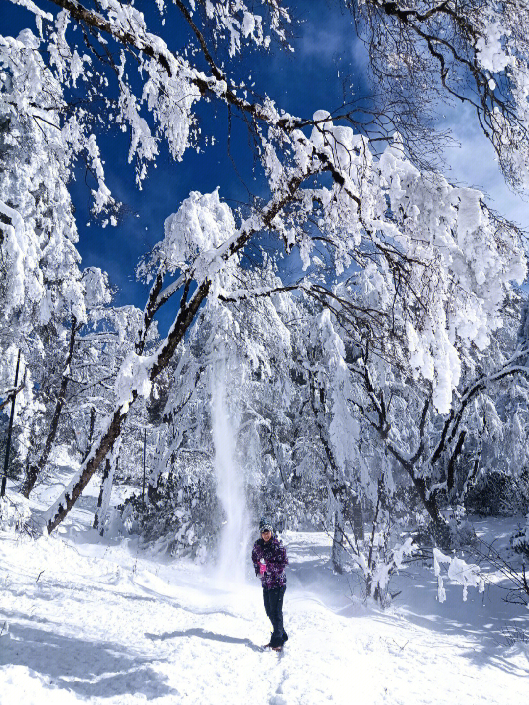 王岗坪滑雪场图片