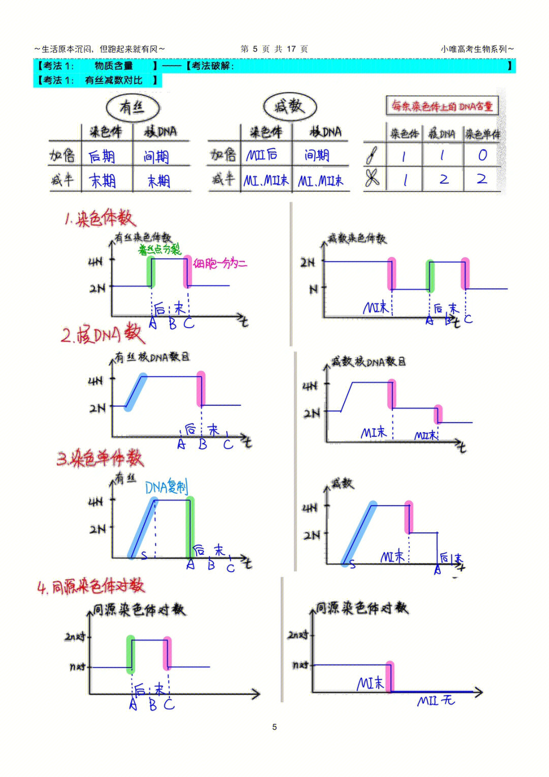 染色体组变化曲线图图片