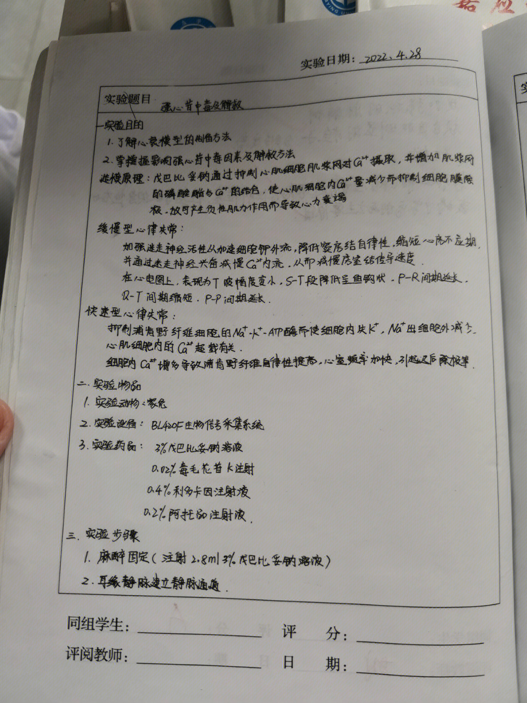 小鼠腹腔注射硫酸镁图片