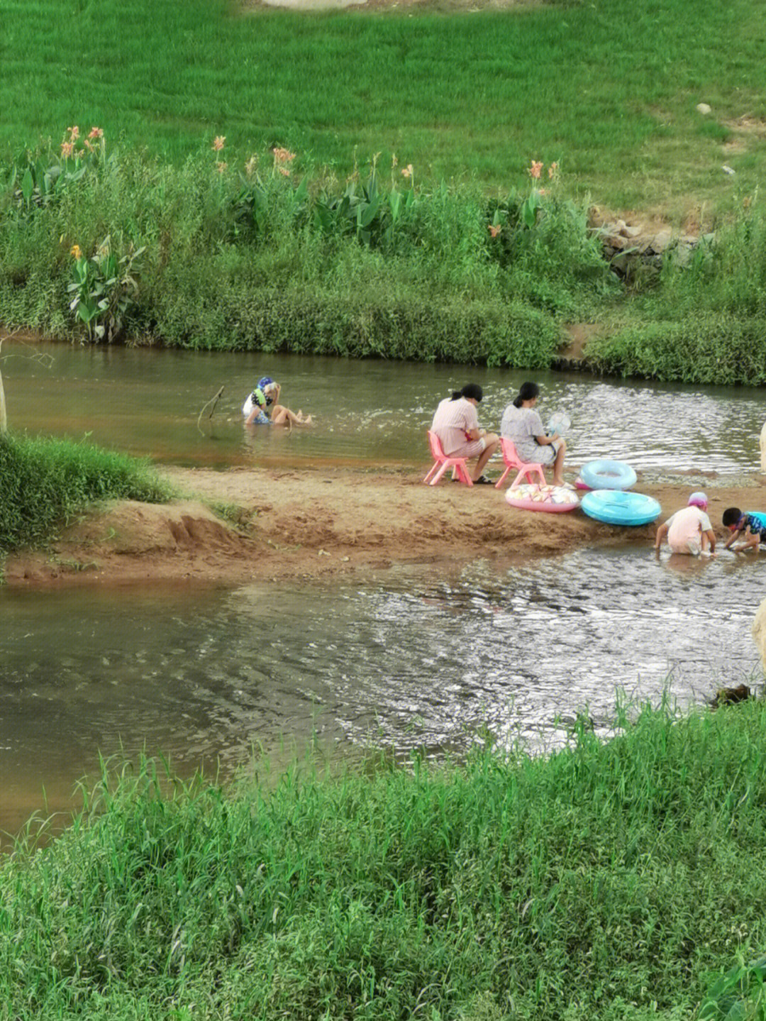 广州黄埔金坑河发现一处亲子玩水好地方
